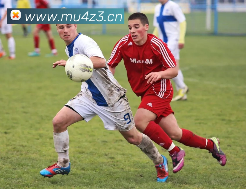 App Interface Preview